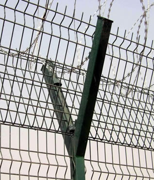 PVC Coated Steel Y Posts for Australian and New Zealand Market Fencing Uses