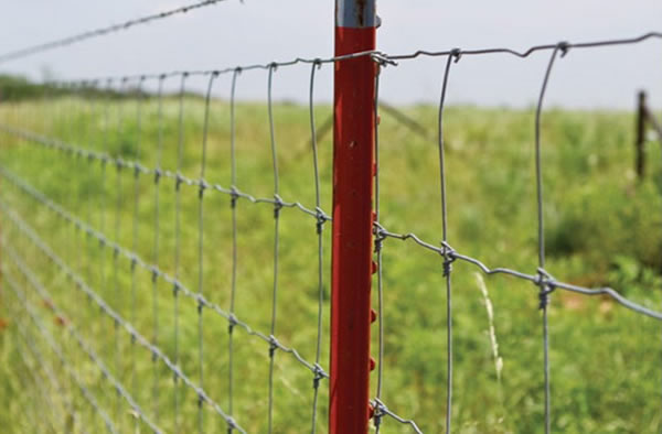 Galvanized Steel Field Fence with Steel Posts