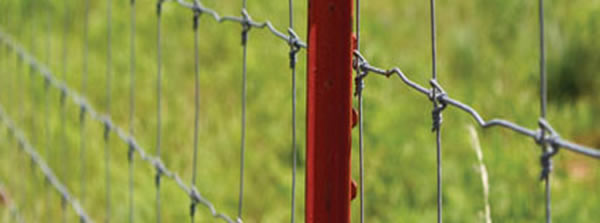 Painted Iron Posts for Galvanized Fencing Wire Fastening 
