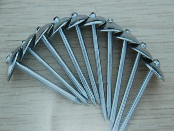 Galvanized Iron Wire Nails